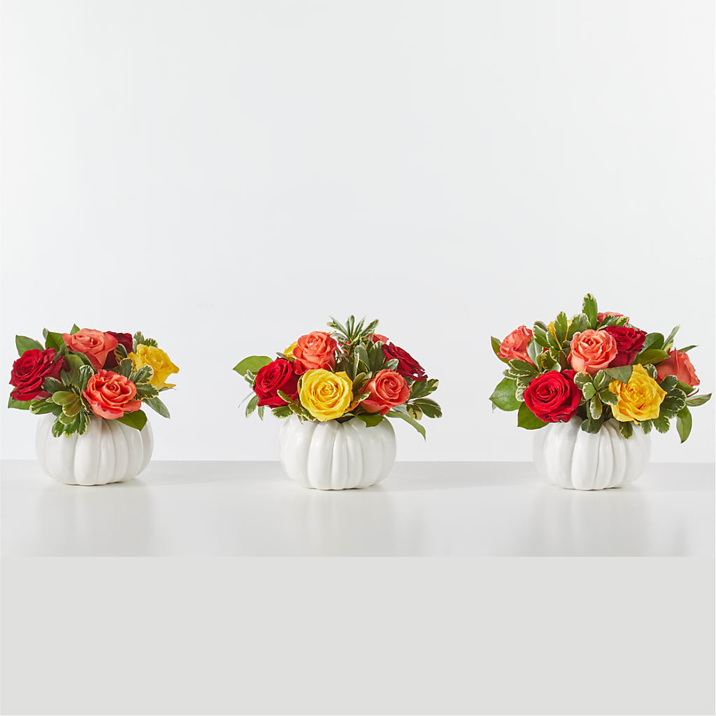 Gourd of Gratitude – Designs By Lakeland Flowers, Plant City FL