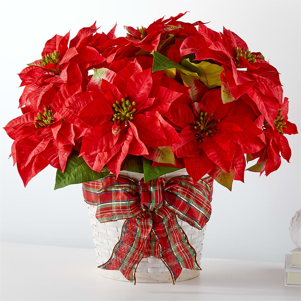 Happiest Holidays Poinsettia – Designs By Lakeland Flowers, Plant City FL