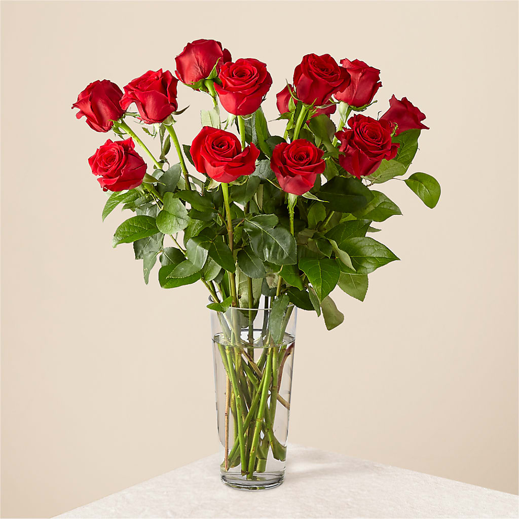 Long Stem Red Rose Bouquet – Designs By Lakeland Flowers, Plant City FL