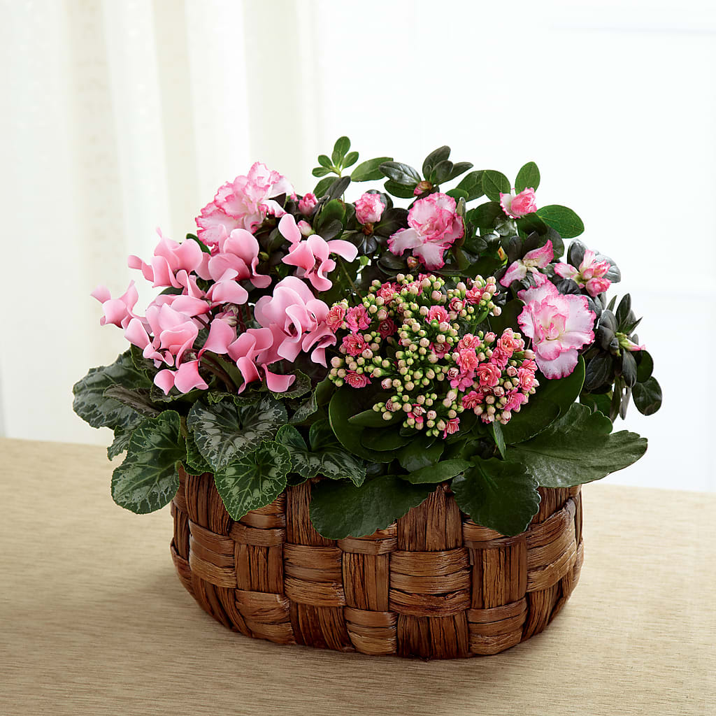 Pink Assortment – Designs By Lakeland Flowers, Plant City FL