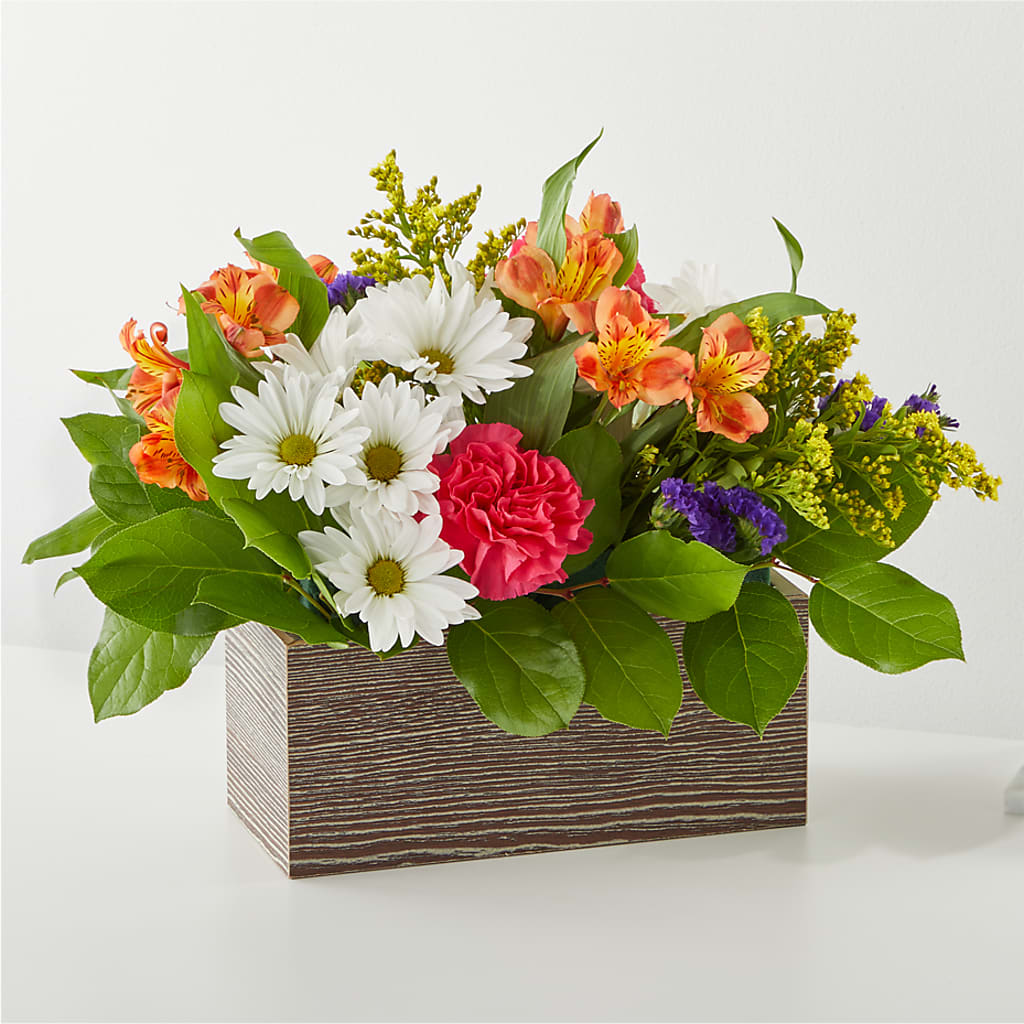 Oopsie Daisy Box Bouquet – Designs By Lakeland Flowers, Plant City FL