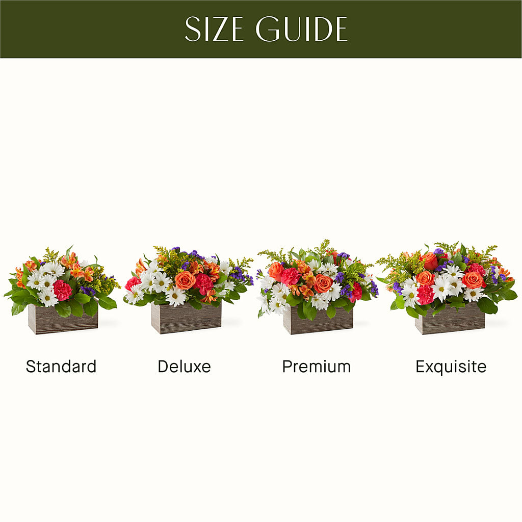 Oopsie Daisy Box Bouquet – Designs By Lakeland Flowers, Plant City FL