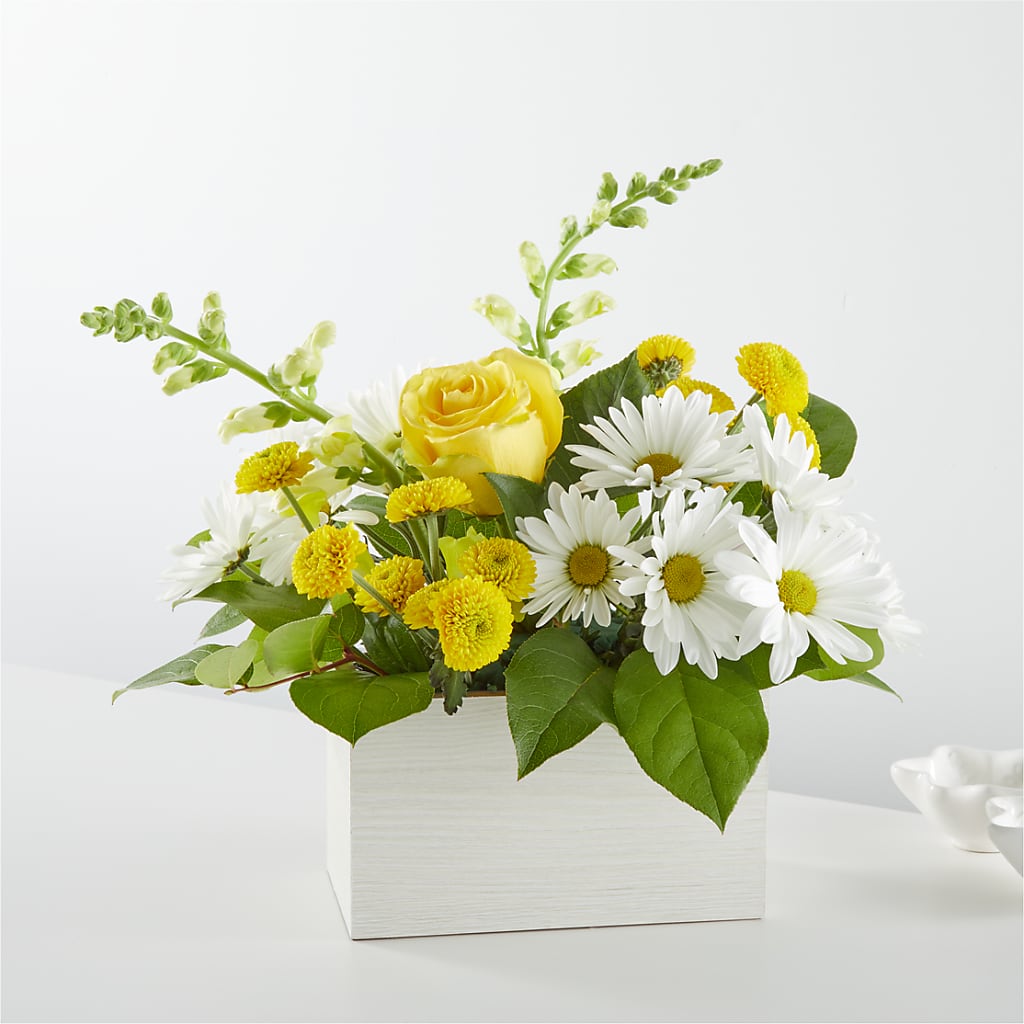 Sun Salutation Box Bouquet – Designs By Lakeland Flowers, Plant City FL