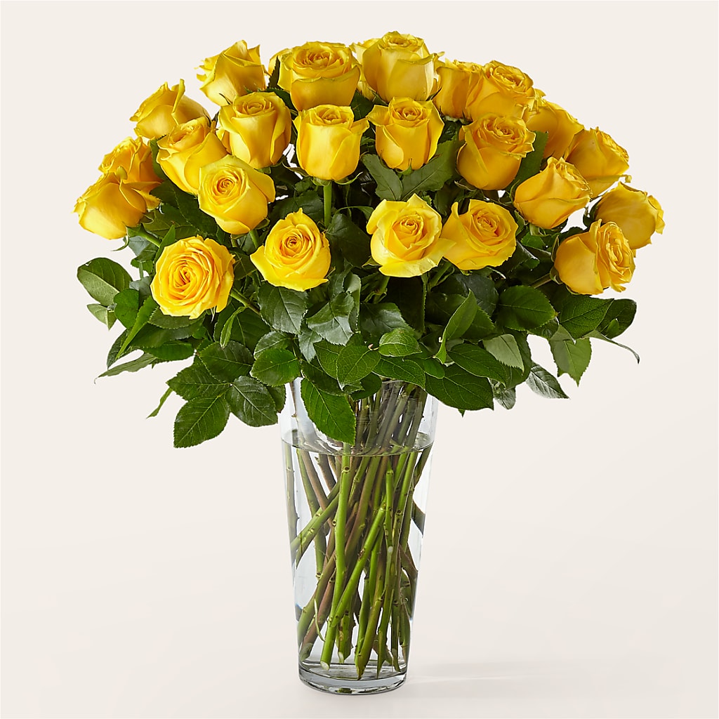 Long Stem Yellow Rose Bouquet – Designs By Lakeland Flowers, Plant City FL