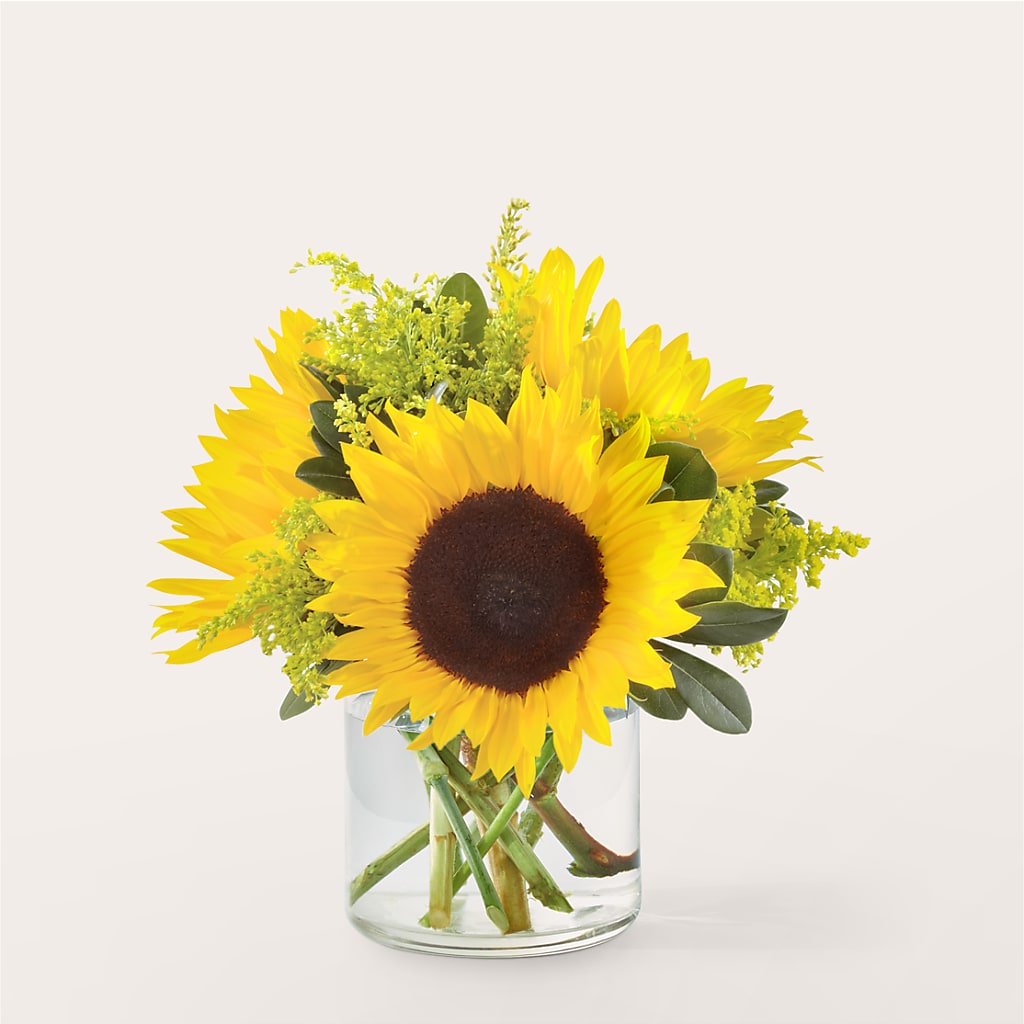 Beaming Sunflower Bouquet – Designs By Lakeland Flowers, Plant City FL