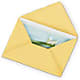 Greeting Card – Designs By Lakeland Flowers, Plant City FL