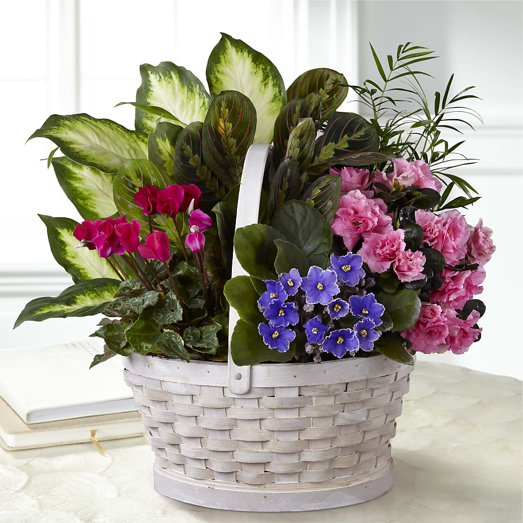Peaceful Garden Planter – Designs By Lakeland Flowers, Plant City FL