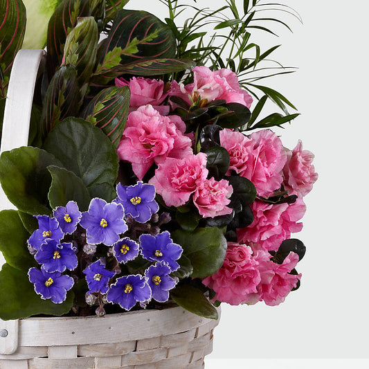 Peaceful Garden Planter – Designs By Lakeland Flowers, Plant City FL