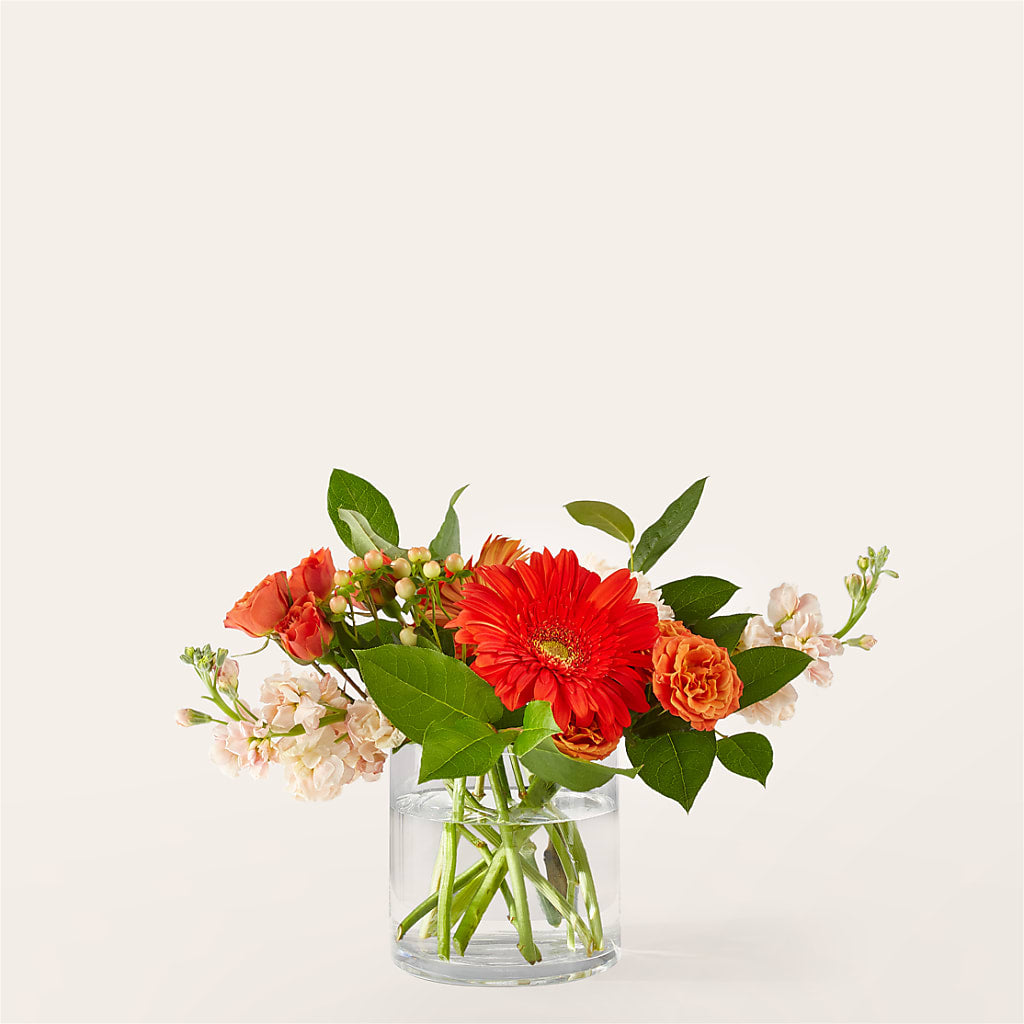 Paloma Please Bouquet – Designs By Lakeland Flowers, Plant City FL
