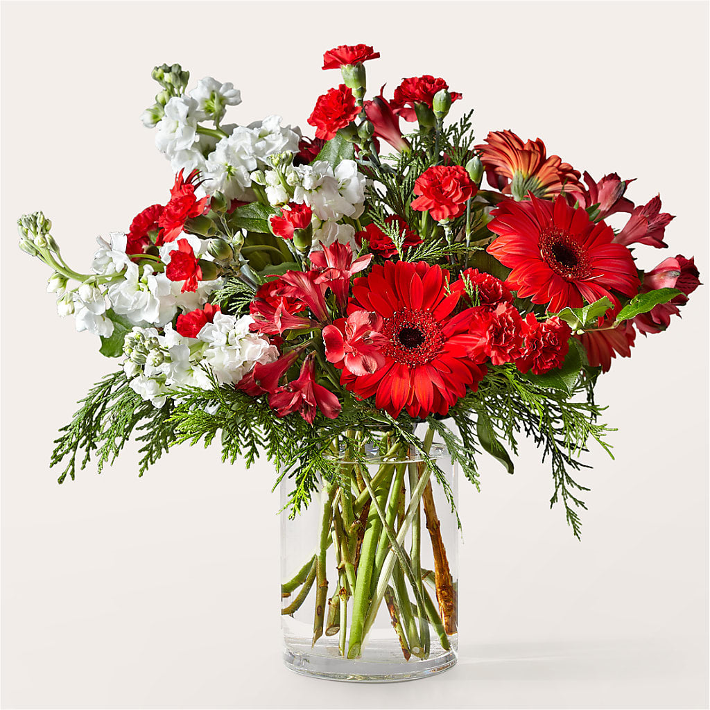 Holidaisy Bouquet – Designs By Lakeland Flowers, Plant City FL