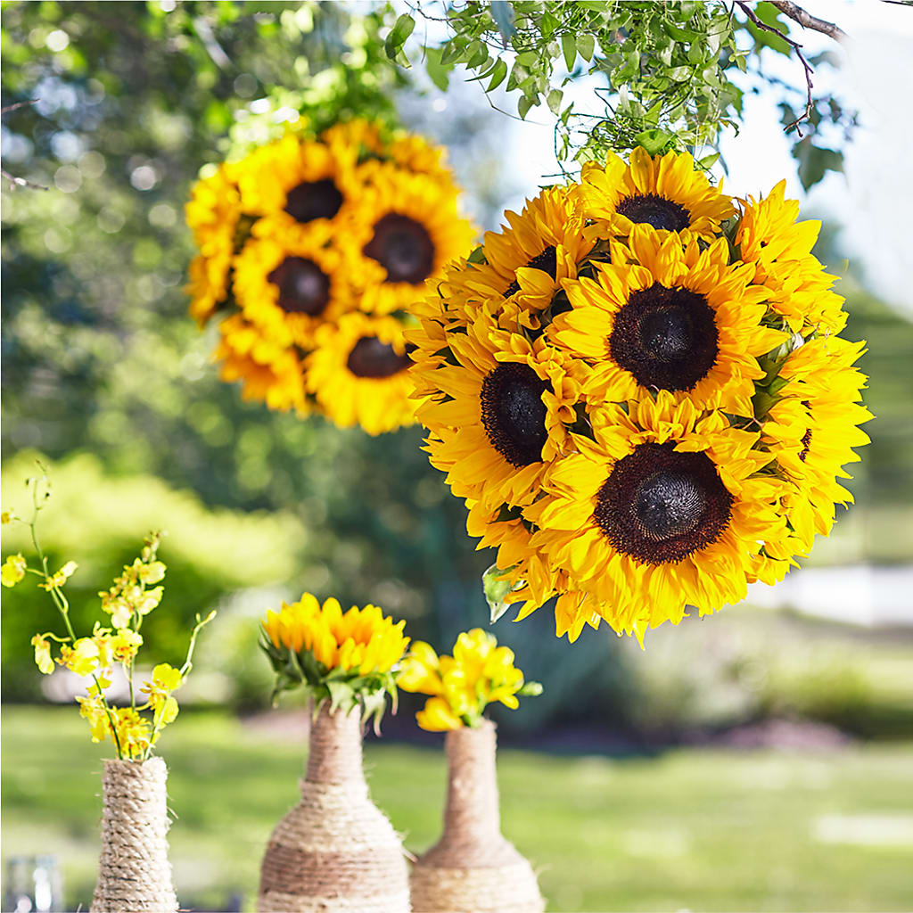 Sublime Garden Hanging Arrangement – Designs By Lakeland Flowers, Plant City FL