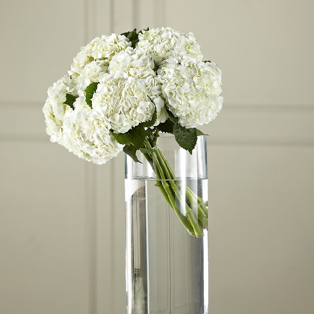 White Hydrangea Hand-Tied Bouquet – Designs By Lakeland Flowers, Plant City FL