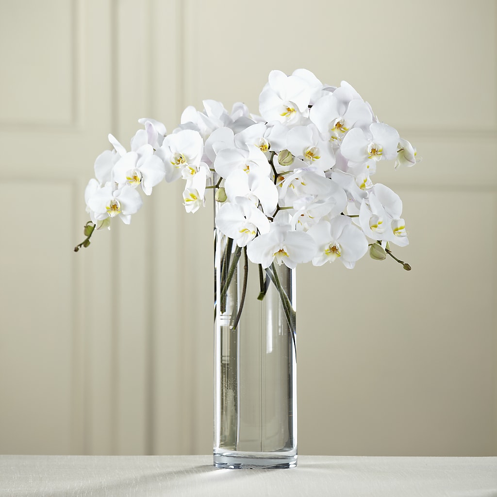 White Phalaenopsis Bouquet – Designs By Lakeland Flowers, Plant City FL