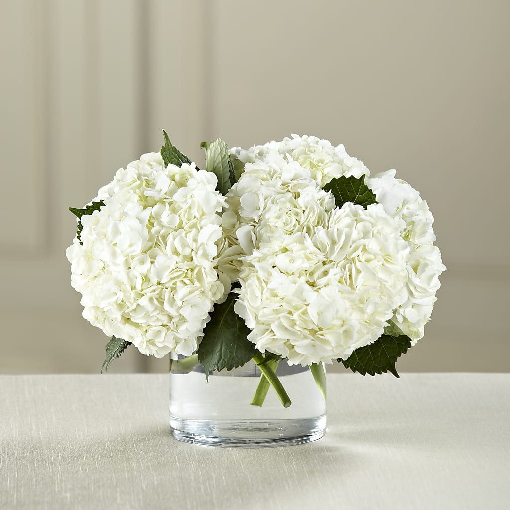 White Hydrangea Bouquet – Designs By Lakeland Flowers, Plant City FL