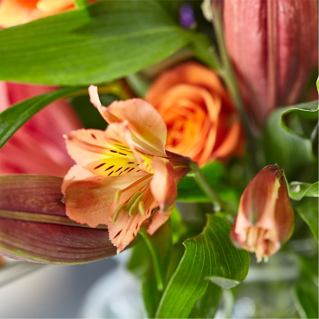 Bold & Bright – A Florist Original –  Designs By Lakeland Flowers, Plant City FL