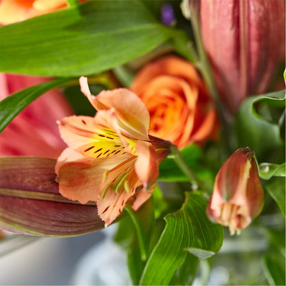 Bold & Bright – A Florist Original –  Designs By Lakeland Flowers, Plant City FL