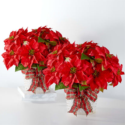 Happiest Holidays Poinsettia Bundle –  Designs By Lakeland Flowers, Plant City FL