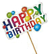 Happy Birthday Pick –  Designs By Lakeland Flowers, Plant City FL