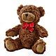 Adorable Plush Bear –  Designs By Lakeland Flowers, Plant City FL
