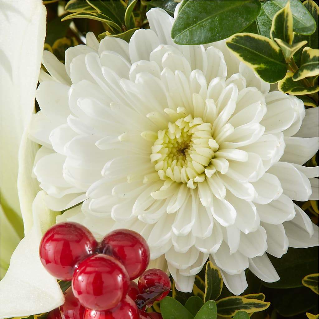 Festive Moments Tree –  Designs By Lakeland Flowers, Plant City FL