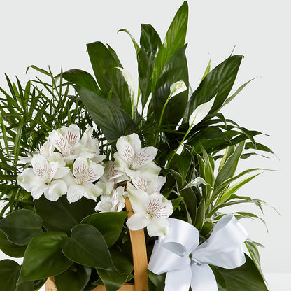 Peace & Serenity Dishgarden –  Designs By Lakeland Flowers, Plant City FL