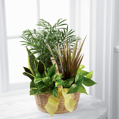 French Garden –  Designs By Lakeland Flowers, Plant City FL