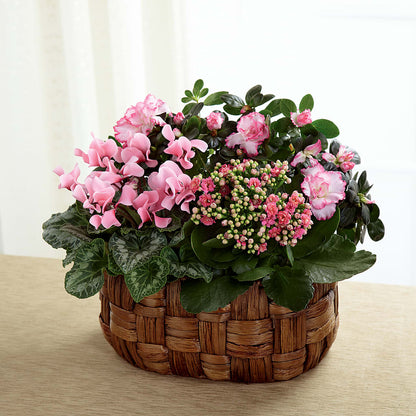 Pink Assortment –  Designs By Lakeland Flowers, Plant City FL