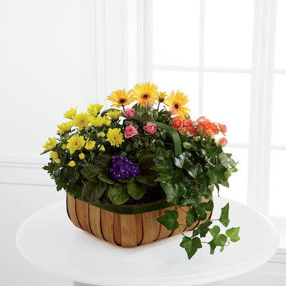 Gentle Blossoms Basket –  Designs By Lakeland Flowers, Plant City FL