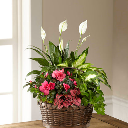 Dream in Pink Dishgarden –  Designs By Lakeland Flowers, Plant City FL