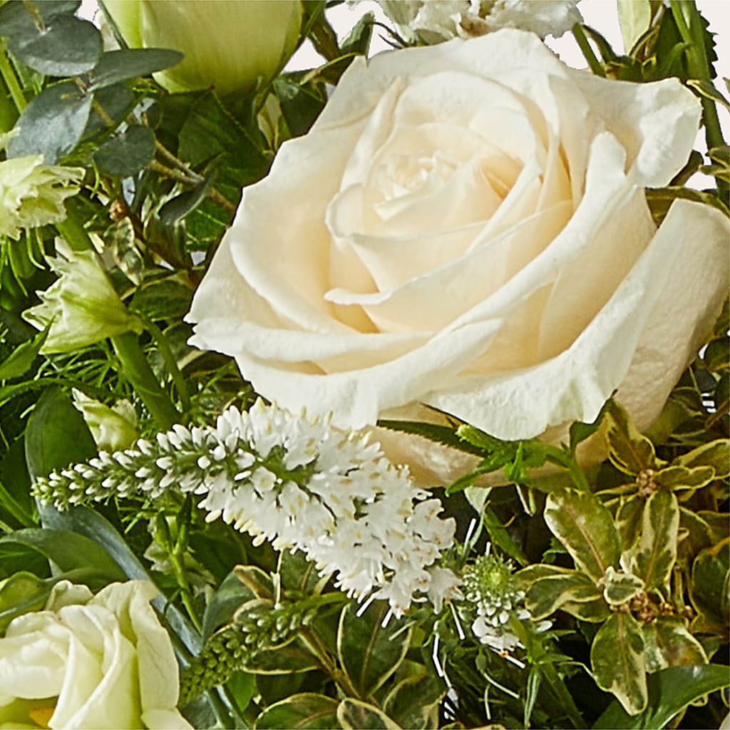 Cashmere Bouquet –  Designs By Lakeland Flowers, Plant City FL