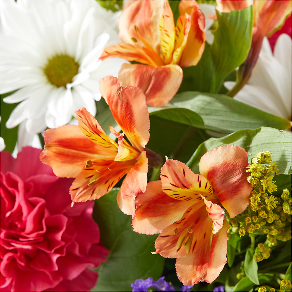 Oopsie Daisy Box Bouquet –  Designs By Lakeland Flowers, Plant City FL