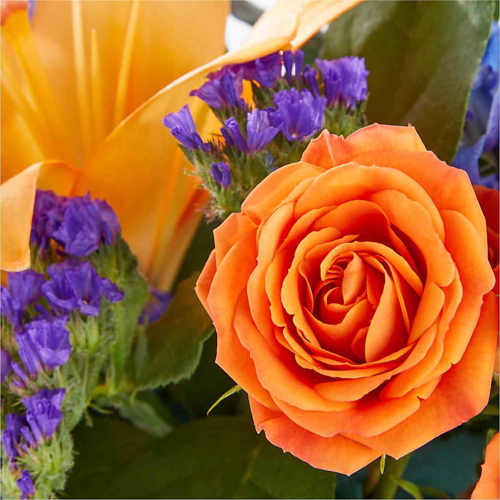 Radiant Citrus Box Bouquet –  Designs By Lakeland Flowers, Plant City FL