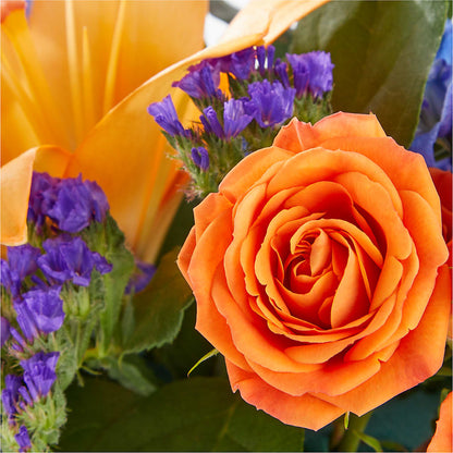 Radiant Citrus Box Bouquet –  Designs By Lakeland Flowers, Plant City FL