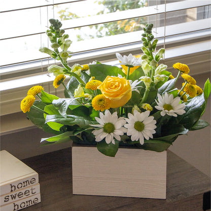 Sun Salutation Box Bouquet –  Designs By Lakeland Flowers, Plant City FL