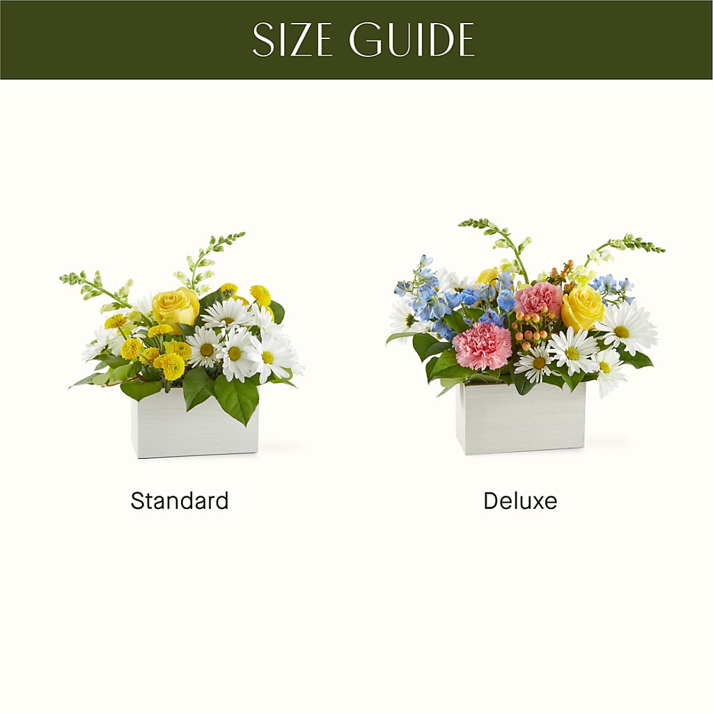 Sun Salutation Box Bouquet –  Designs By Lakeland Flowers, Plant City FL