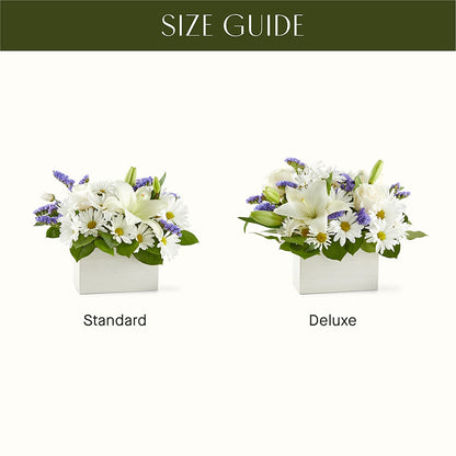 Beyond Blue Box Bouquet –  Designs By Lakeland Flowers, Plant City FL