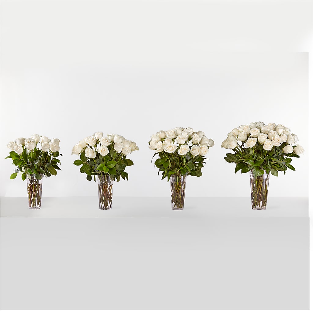 Long Stem White Rose Bouquet –  Designs By Lakeland Flowers, Plant City FL