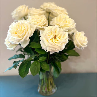 Long Stem Yellow Rose Bouquet –  Designs By Lakeland Flowers, Plant City FL