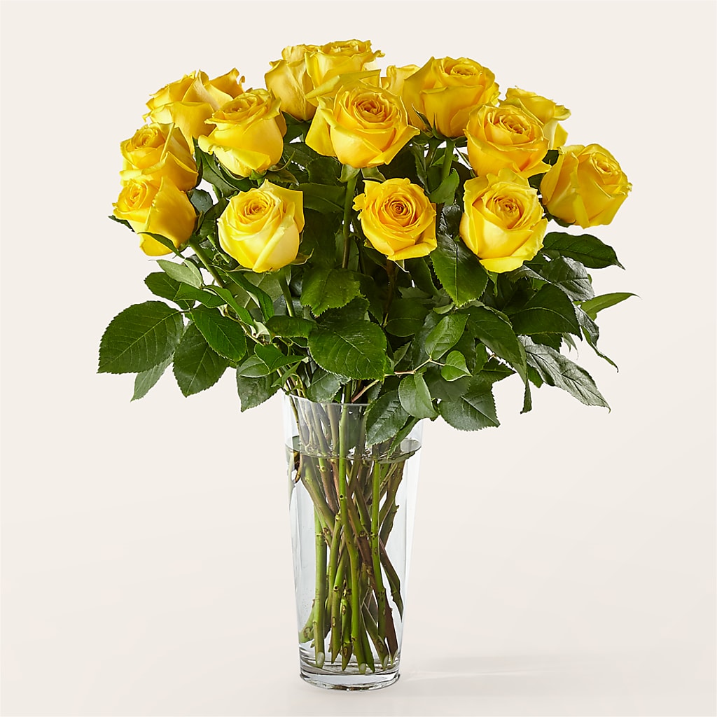 Long Stem Yellow Rose Bouquet –  Designs By Lakeland Flowers, Plant City FL