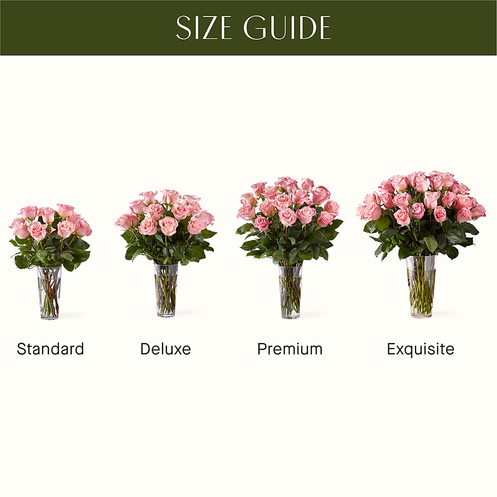 Long Stem Pink Rose Bouquet –  Designs By Lakeland Flowers, Plant City FL