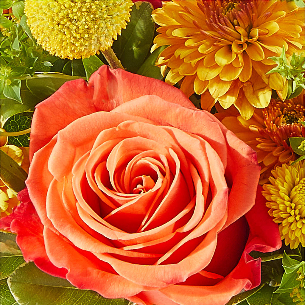 Gourdgeous Pumpkin –  Designs By Lakeland Flowers, Plant City FL