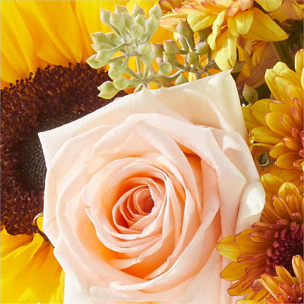 Pumpkin to Talk About Bouquet –  Designs By Lakeland Flowers, Plant City FL