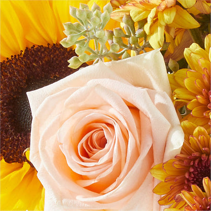 Pumpkin to Talk About Bouquet –  Designs By Lakeland Flowers, Plant City FL