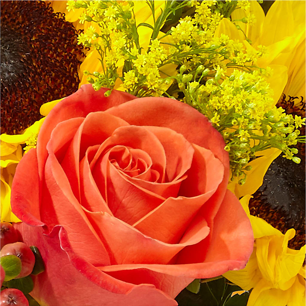 Pick of the Patch Pumpkin Bouquet –  Designs By Lakeland Flowers, Plant City FL