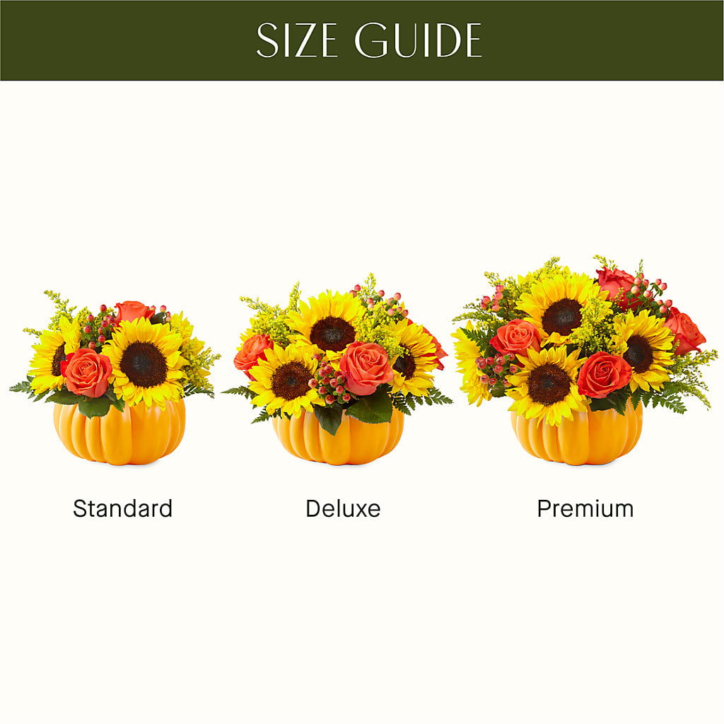 Pick of the Patch Pumpkin Bouquet –  Designs By Lakeland Flowers, Plant City FL