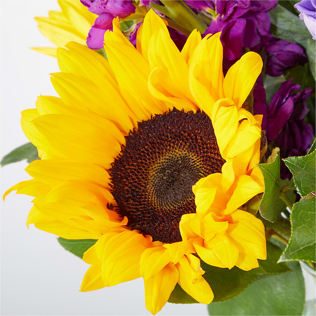 Catching Rays Bouquet –  Designs By Lakeland Flowers, Plant City FL
