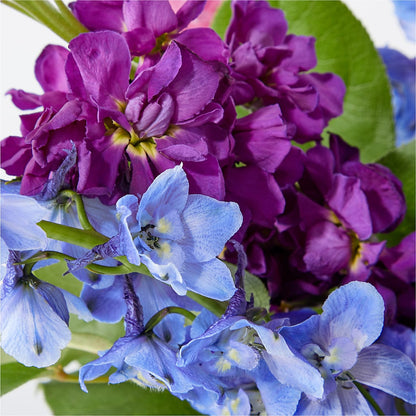Twilight Glow Bouquet –  Designs By Lakeland Flowers, Plant City FL