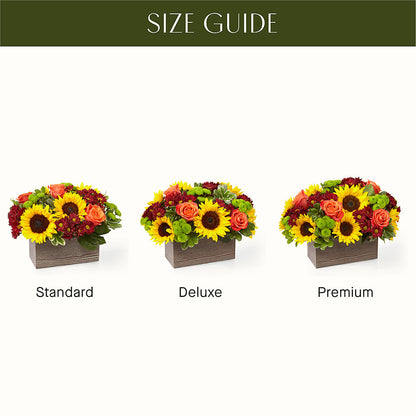 Happy Harvest Garden –  Designs By Lakeland Flowers, Plant City FL