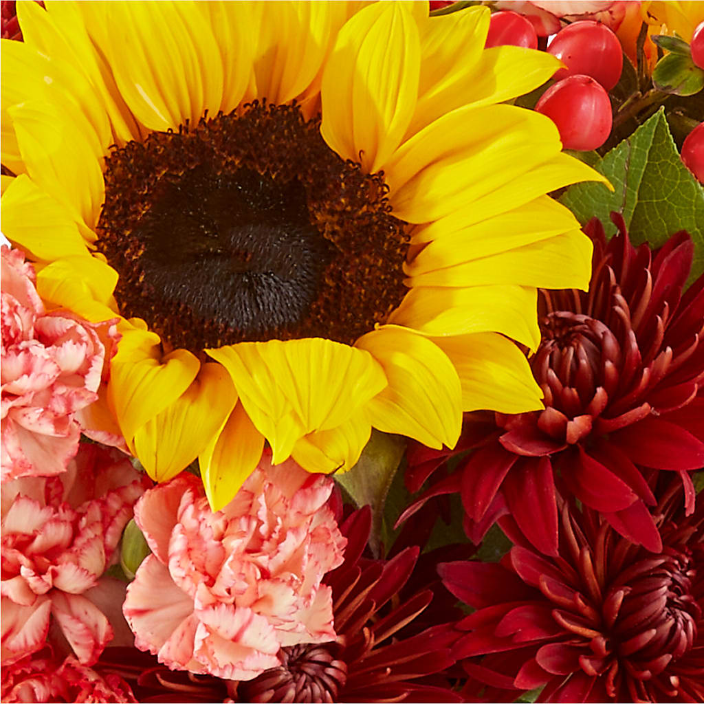 Fresh Cider Bouquet –  Designs By Lakeland Flowers, Plant City FL
