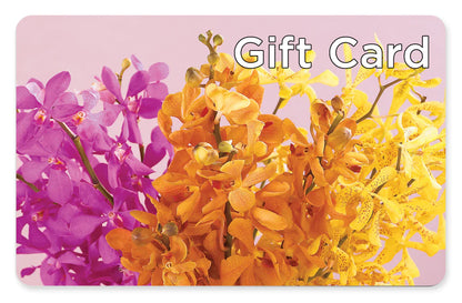 Gift Card –  Designs By Lakeland Flowers, Plant City FL